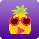 大菠萝福建导航app变态 图标