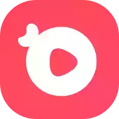 红豆直播平台app