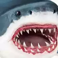 终极大白鲨模拟器无限经验版 图标