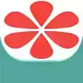 蜜柚平台app 图标