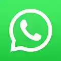 whatsapp安卓版2.18.379 图标