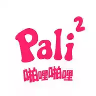 pali.ctiy网页 图标