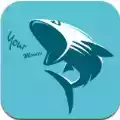 鲨鱼影视极速版app 图标