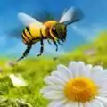 饥饿的蜜蜂游戏手机版 图标