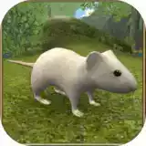 疯狂地鼠3d模拟mod