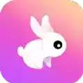 雪兔追剧app安卓