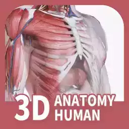 3D器官解剖中文版 图标