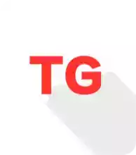 tg框架安卓10专版最新版