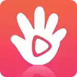 手心视频app官方网站