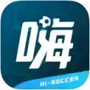 即嗨足球app