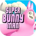 超级兔子人联网版安卓 图标