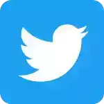 小蓝鸟twitter在线 图标