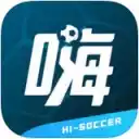 嗨足球app 图标