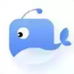 鲸鱼加速器app 图标