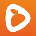 橘子视频app安卓版 图标
