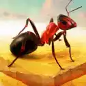 蚂蚁进化模拟器03