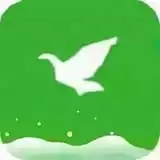 一只奇鸽app新体验 图标