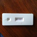 孕检报检验报告单生成器