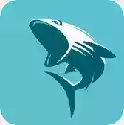 鲨鱼影视在线免费看 图标